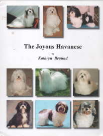 The joyous Havanese