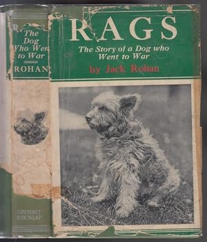 Rags The Story of a Dog Who Went to War