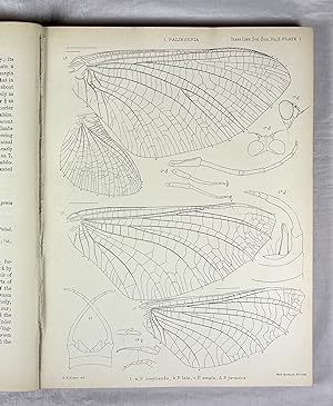 A Revisional Monograph of Recent Ephemeridae or Mayflies. (Parts I & II, Linnean Society, 1883/18...