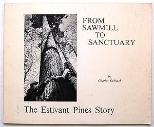 From Sawmill to Sanctuary, the Estivant Pines Story
