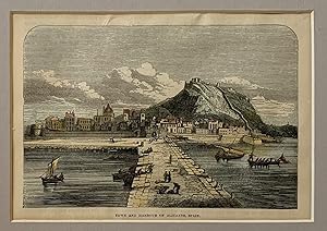 Town and harbour of Alicante Spain, xilografia coloreada a mano, 1860