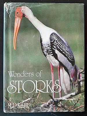 Wonders of Storks