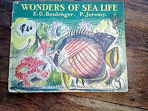 Wonders of Sea Life