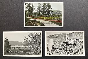 [Hand-Colored RPPC] 3 c. 1930's Real Photo Postcards of the South Okanagan, Osoyoos & Summerland,...
