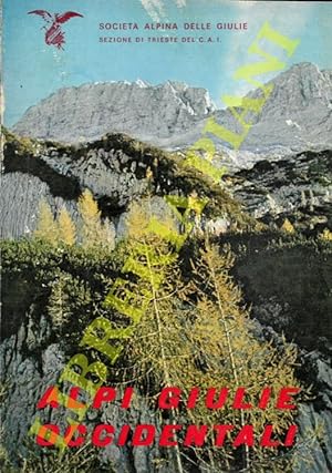 Alpi Giulie Occidentali. Escursioni e salite nei Gruppi del Jof Fuart, Montasio, Canin e Mangart.