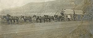 1912 Photograph of 10 Horse Team and 3 Wagon Freight Train in the Cariboo-Chilcotin