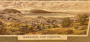 Dunedin, New Zealand. Panorama of City and Harbour