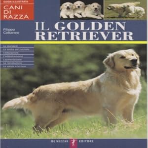 Cani Di Razza - Il Golden Retriever