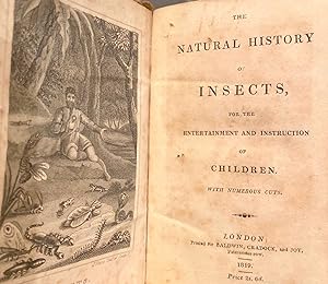 The Natural History Of Insects, For The Entertainment and Instruction of Children