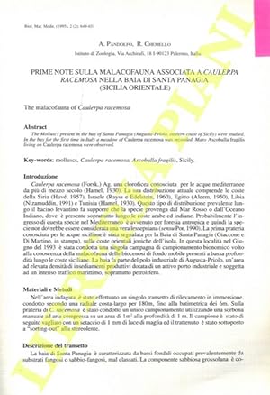 Prime note sulla malacofauna associata a Caulerpa racemosa nella baia di Santa Panagia (Sicilia o...