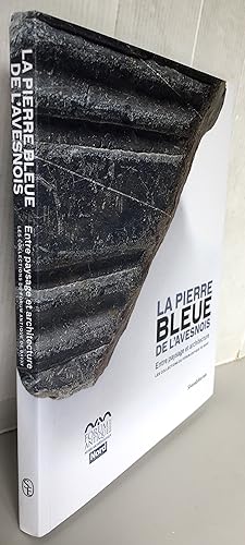 La pierre bleue de l'Avesnois, entre paysage et architecture : Les collections du Forum antique d...