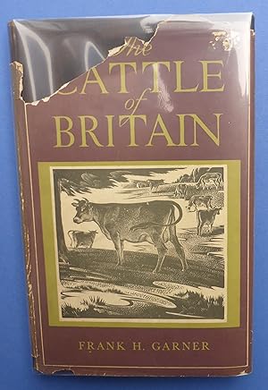 The Cattle of Britain