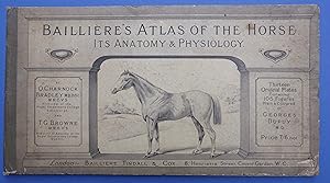 Bailliere's Atlas of the Horse - Its Anatomy & Physiology