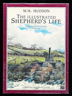 The Illustrated Shepherd's Life