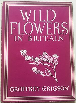 Wild Flowers In Britain