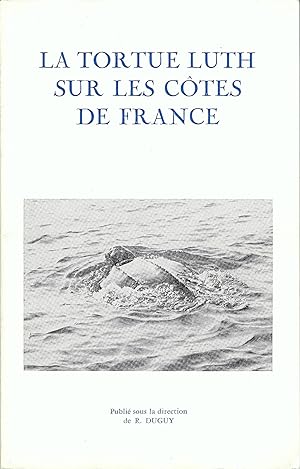 La tortue luth sur les côtes de France
