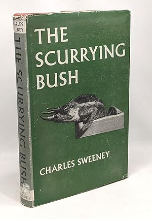 The scurrying bush