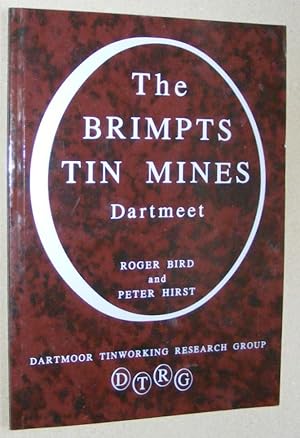 The Brimpts Tin Mines, Dartmeet