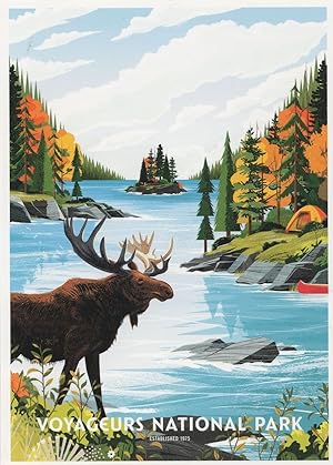 Deer Antler at Voyageurs North Minnesota National Park USA Postcard