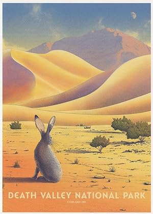 Death Valley National Park Rabbit Golden Canyon Basin USA Postcard