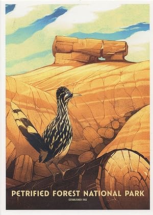 Petrified Forest National Park Arizona Birds Pueblo Homes USA Postcard