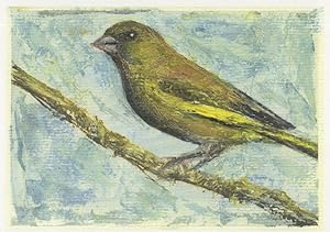 Ruth Addinall Greenfinch Bird Saatchi Art Scottish Painting Postcard