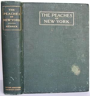 THE PEACHES OF NEW YORK : Report of the New York Agricultural Experiment Station for the Year 1916