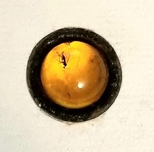 The Amber Bead: R. Herrick / The Ant In Amber; Anon. Calligraphy and binding by John Woodcock, Ke...