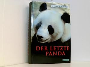 Der letzte Panda.