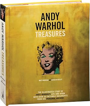 Andy Warhol Treasures (First UK Edition)