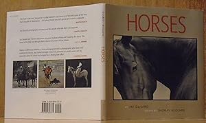 Horses (SIGNED by Photographer)