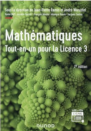 mathématiques tout-en-un pour la licence 3 (2e édition)