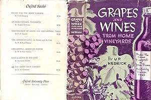 Grapes And Vines: From Home Vineyards