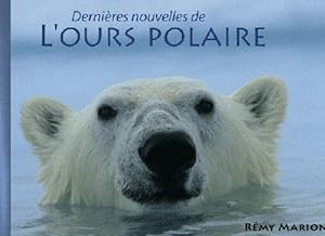 Dernières nouvelles de l'ours polaire