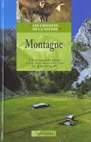 Montagne