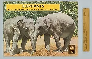 Elephants 1946 Encyclopedia Britannica Picture Story, True Nature Series Book 2, Black and White ...