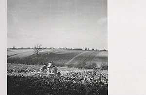 Fordson Major Plough Farm Tractor in 1950s Photo Postcard