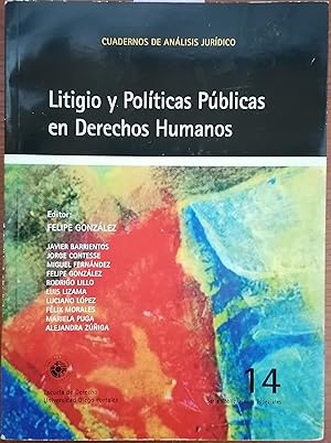 Litigio y Políticas Públicas en Derechos Humanos. Editor : Felipe González