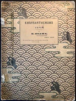 Chrysanthemums of Japan By K. Ogawa, Photographer, Tokyo, Japan, In Collotype & From Photographic...