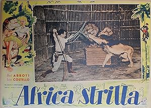 "ABBOTT & COSTELLO en AFRIQUE / ABBOTT & COSTELLO IN AFRICA" (AFRICA STRILLA) Réalisé par Charles...