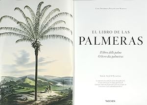 EL LIBRO DE LAS PALMERAS - IL LIBRO DELLE PALME - O LIVRO DAS PALMEIRAS.