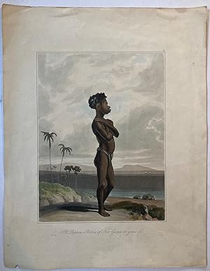 A Papuan or Native of New Guinea, 10 years old [colour engraving]