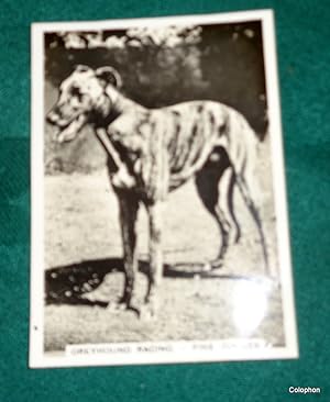 Greyhound Derby 1936. Ardath Photocard 1936 of dog "Fine Jubilee". 1st privately owned winner