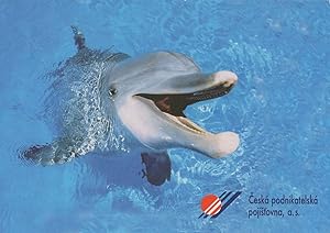 Czech Republic Dolphin Water Park Praha Postcard