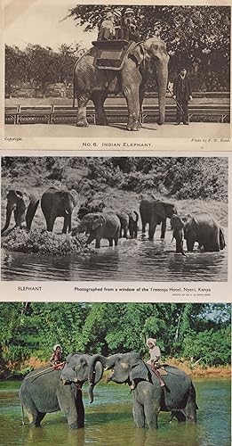 Elephant Rides at London Zoo Kenya 3x Postcard s