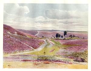 MOORLAND AT FRENSHAM IN SURREY IN THE UNITED KINGDOM, 1914 VINTAGE COLOUR LITHOGRAPH