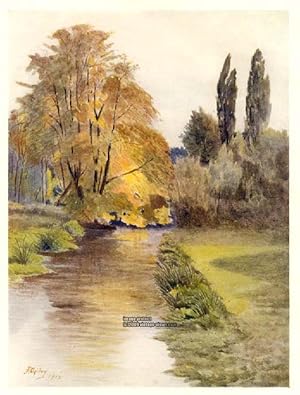 VIEW ON THE WANDLE SURREY IN THE UNITED KINGDOM,1914 VINTAGE COLOUR LITHOGRAPH