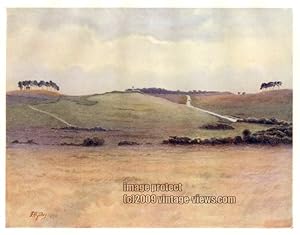 CHOBHAM COMMON IN SURREY IN THE UNITED KINGDOM, 1914 VINTAGE COLOUR LITHOGRAPH