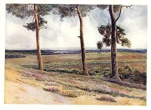 VIEW FROM STAPLE HILL IN SURREY IN THE UNITED KINGDOM, 1914 VINTAGE COLOUR LITHOGRAPH