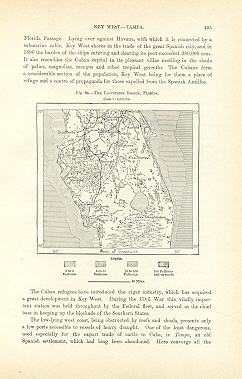 THE LACUSTRINE REGION, FLORIDA,1893 Historical Map